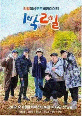 露营有风慢综艺在线播放